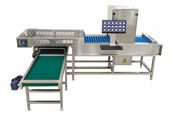 Визуальные AI детекторы дефектов для яиц — ZENYER