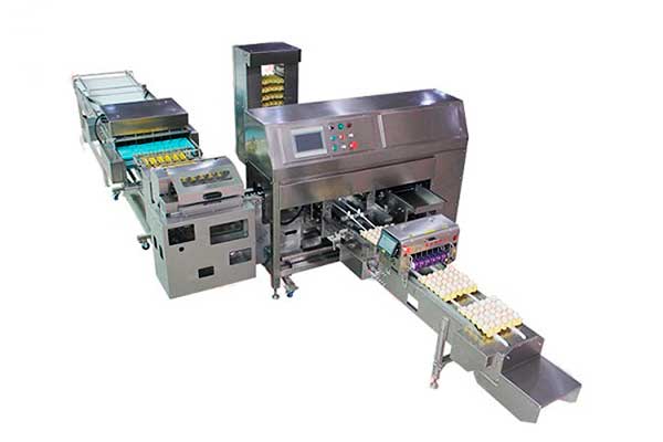 Упаковка яиц в птичнике Фарм Пакер (Farm Packer) — ZENYER