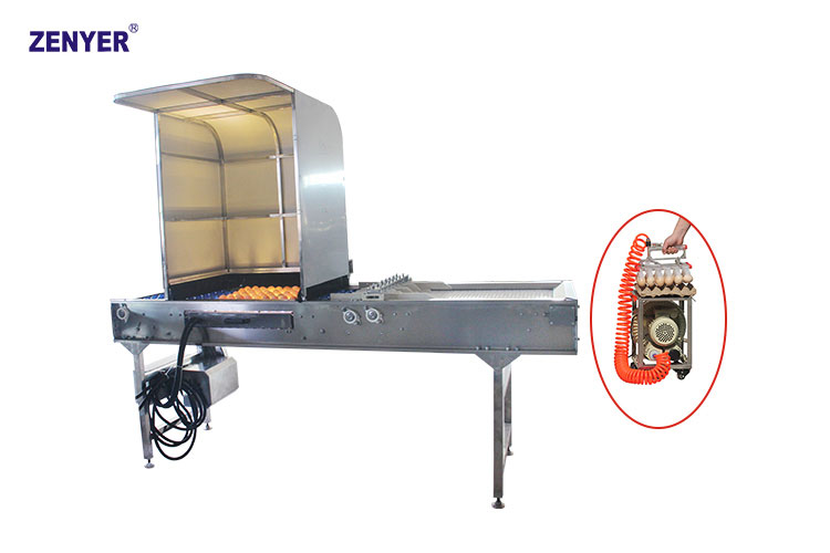 Конвейер накопитель с LED овоскопом ZYS-DS60/240 (605A)