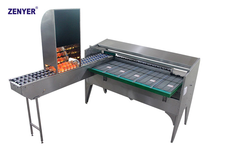 Машина для сортировки яиц ZYF-J3R(L) (102B)