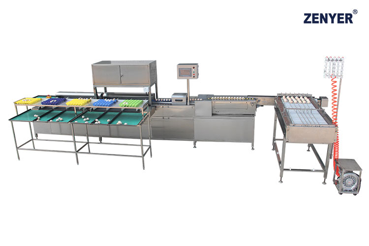 Машина для сортировки яиц FXB10 (104B)