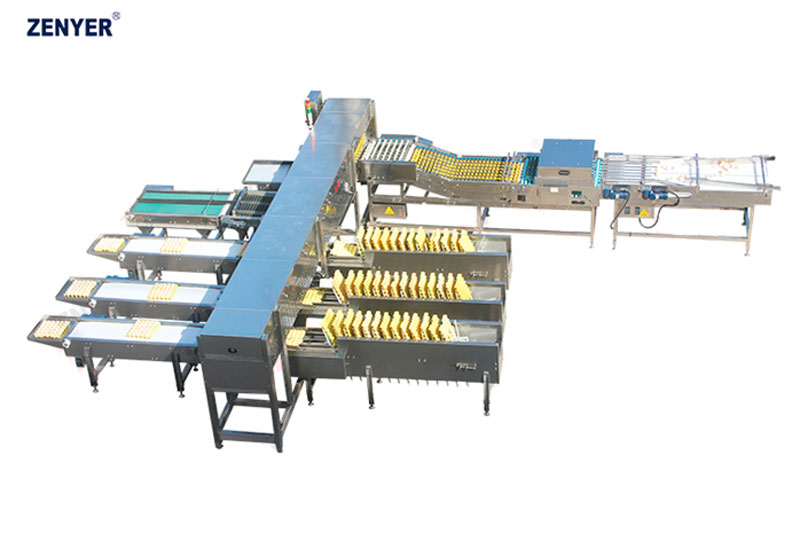 Машина для сортировки и автоматической упаковки яиц FBC20-3 (107)