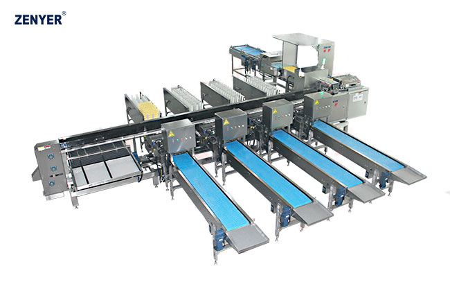 Машина для сортировки и автоматической упаковки яиц FBD30-4 (109)