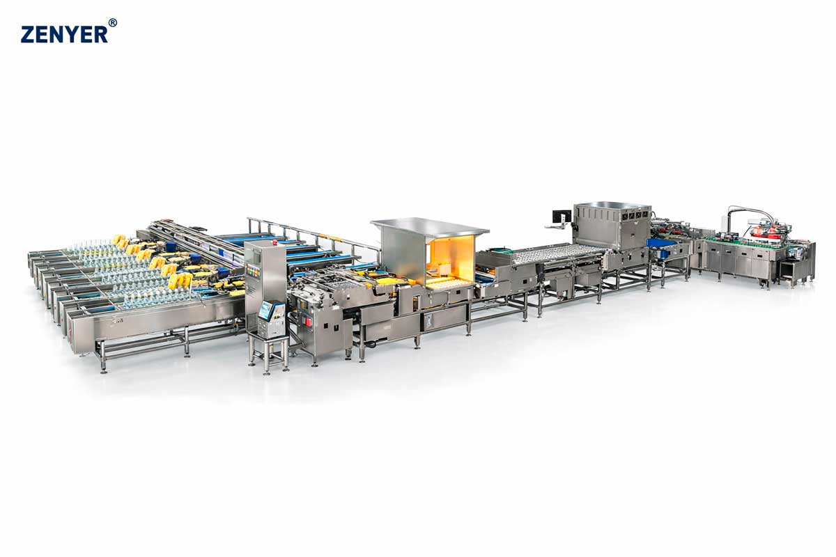 Машина для сортировки и автоматической упаковки яиц FBD170-8 Egg grader (111)