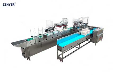 Автоматический вакуумный подъемник укладчик яиц ZYS-ZK-2J30 (615A)