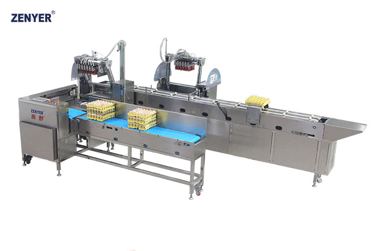Автоматические загрузчики яиц ZENYER
