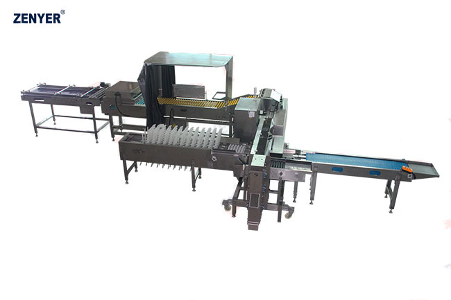 Автоматический упаковщик яиц Farm Packer ZYZ-HD6 (713A)