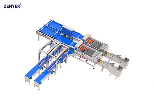 Автоматический упаковщик яиц Farm Packer XBF-60 (714B)